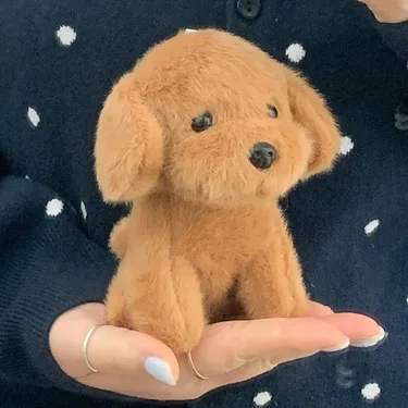 귀여운 강아지 동물 아기 골든 리트리버 인형 키링 휴대폰 에어팟 버즈 가방꾸미기 백꾸 인싸 키홀더 열쇠고리 생일 친구 우정 커플 선물